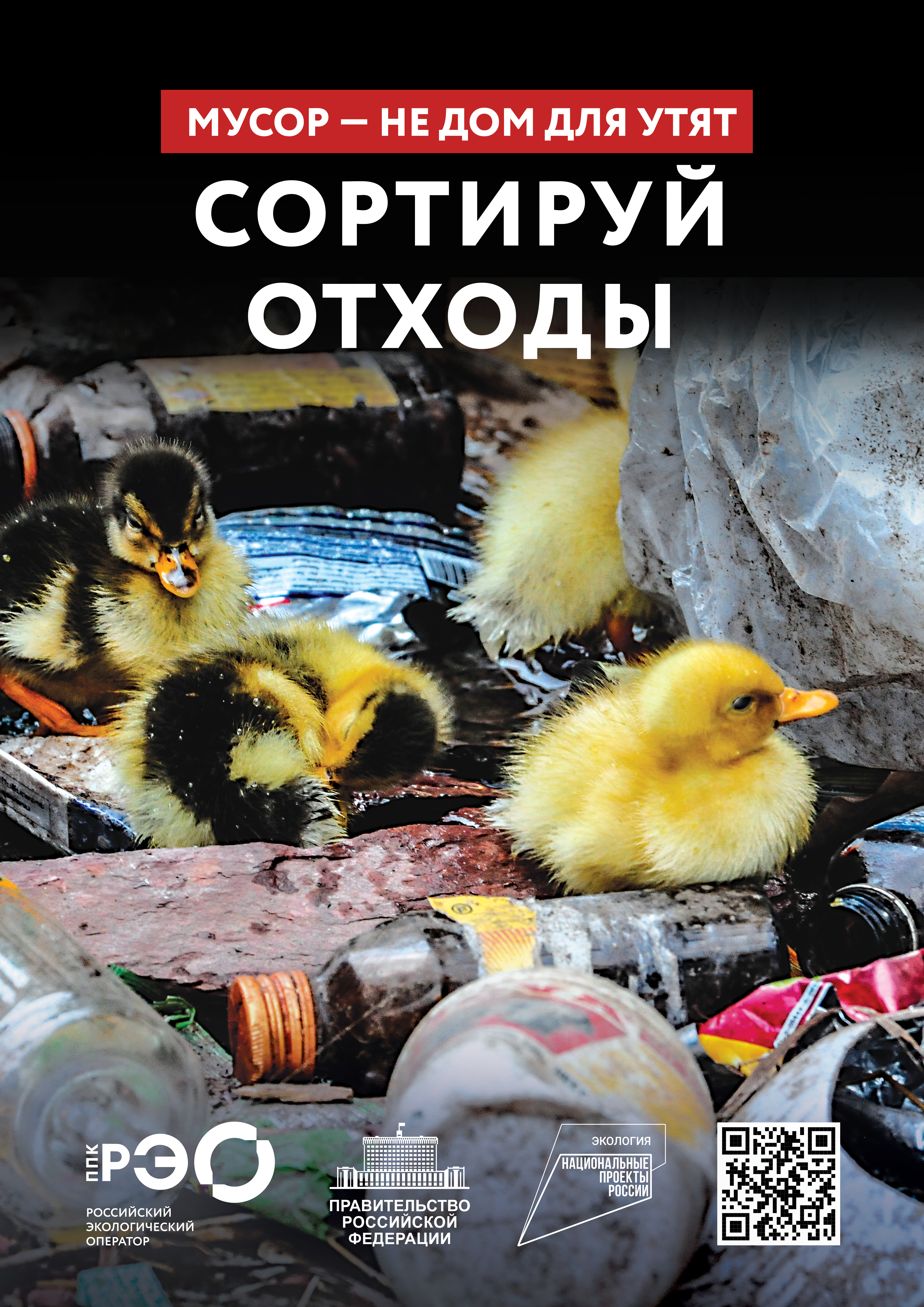 Seria 9 animal poster _A2_7.jpg